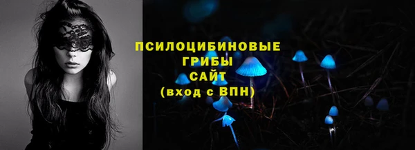 эйфоретик Алзамай