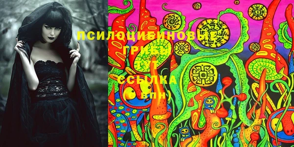 мескалин Алексин